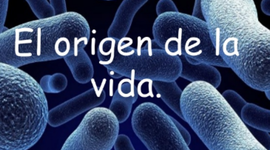 Timeline: El Origen De la Vida
