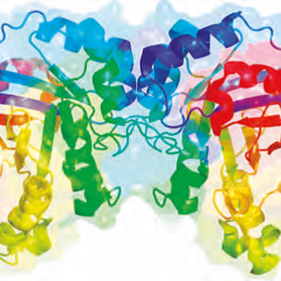 Timeline: Historía enzimología