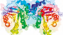 Timeline: Historía enzimología