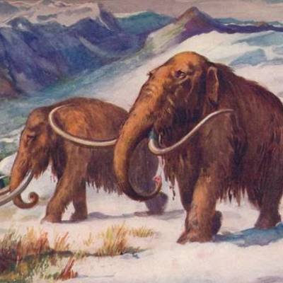 Timeline: Línea del tiempo Historia del Arte