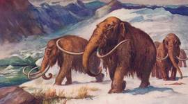 Timeline: Línea del tiempo Historia del Arte