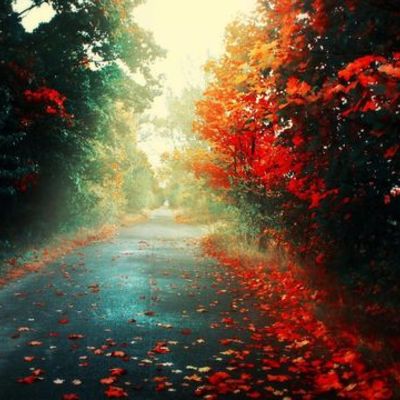 Timeline: Línia del temps 5 periodes historia de la humanitat