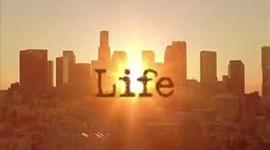 Timeline: Monther M's life