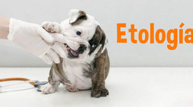 Timeline: HISTORIA DE LA ETOLOGÍA