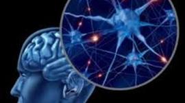 Timeline: La Neuropsicología en el tiempo