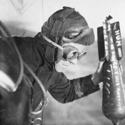 Timeline: World War I