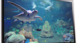 Timeline: Television