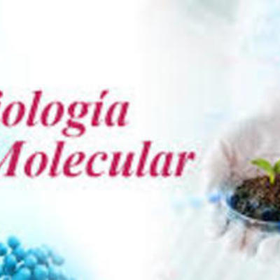 Timeline: Historia de la Biología Molecular by: Santiago Rabat