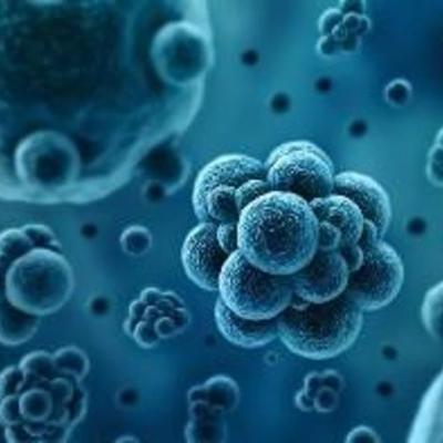 Timeline: La historia de la biología molecular