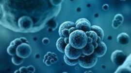 Timeline: La historia de la biología molecular