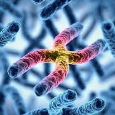 Timeline: HISTORIA DE LA BIOLOGÍA MOLECULAR