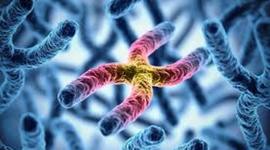 Timeline: HISTORIA DE LA BIOLOGÍA MOLECULAR