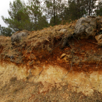 Timeline: Linea del tiempo de la Edafología