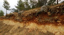 Timeline: Linea del tiempo de la Edafología