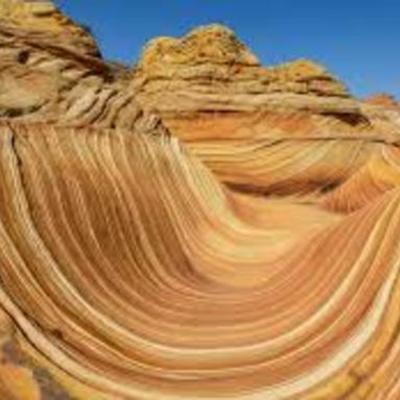 Timeline: Historia de la Edafología