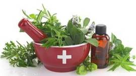 Timeline: Orígenes de la farmacología