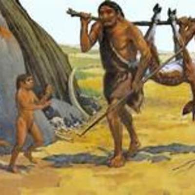 Timeline: Linea del temps