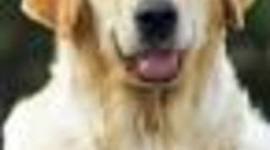 Timeline: Linea de la vida