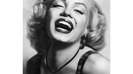 Timeline: Cynthia Vejar