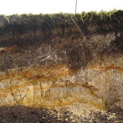 Timeline: Historia de la edafología                     Freddy Mauricio Cárdenas Vargas, Daniel Santiago Ojeda Velandia