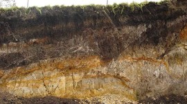 Timeline: Historia de la edafología                     Freddy Mauricio Cárdenas Vargas, Daniel Santiago Ojeda Velandia