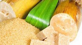 Timeline: producto derivado- azucar