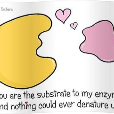 Timeline: Historia de la Enzimología