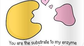 Timeline: Historia de la Enzimología