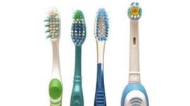 Timeline: LA EVOLUCIÓN DEL CEPILLO DE DIENTES