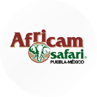 Timeline: AFRICAM SAFARI