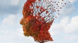 Timeline: "Las funciones sociales de la escuela" y EL PROCESO DE LA PLANEACIÓN EDUCATIVA