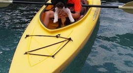 Timeline: My Life                             by: David Molhem