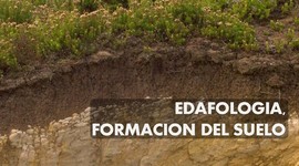 Timeline: Historia de la Edafología.