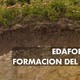 Edafologia