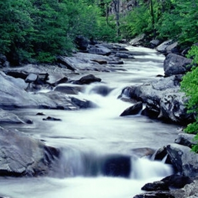 Timeline: "The first man was a hypocrite and a coward, qualities which have not yet failed in his line; it is the foundation upon which all civilizations have been built."