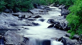 Timeline: "The first man was a hypocrite and a coward, qualities which have not yet failed in his line; it is the foundation upon which all civilizations have been built."