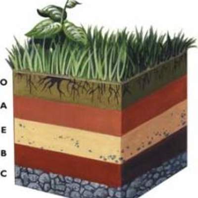 Timeline: HISTORIA DE LA EDAFOLOGIA