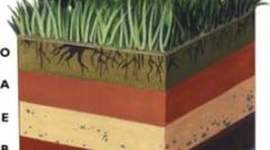 Timeline: HISTORIA DE LA EDAFOLOGIA