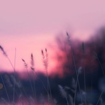 Timeline: My biography