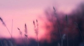 Timeline: My biography