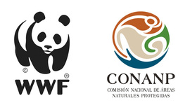 Timeline: Linea del tiempo de las ANP'S  a nivel nacional (México)