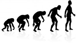 Timeline: El individuo como idea socialmente construida