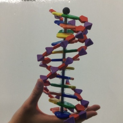 Timeline: Eix cronològic