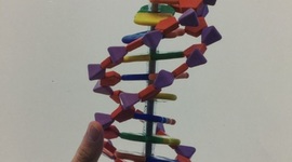 Timeline: Eix cronològic