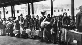 Timeline: Immigration Timeline