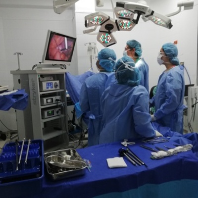 Timeline: HISTORIA TRANSPLANTE DE ÓRGANOS