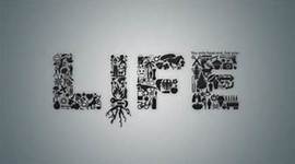 Timeline: My Personal timeline