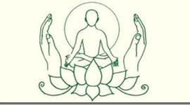 Timeline: Medicina y las Terapias Naturales