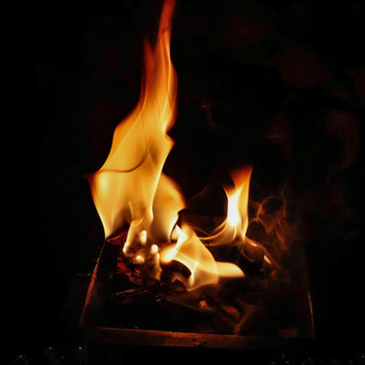 Timeline: My timeline.