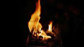 Timeline: My timeline.